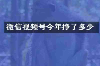 微信视频号今年挣了多少