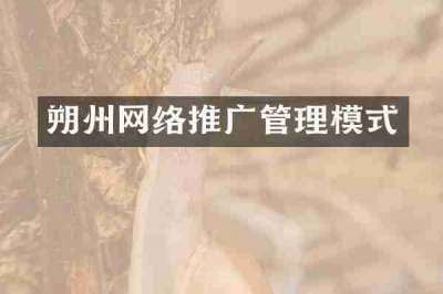 朔州网络推广管理模式