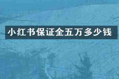 小红书保证金五万多少钱