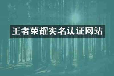 王者荣耀实名认证网站