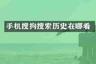 手机搜狗搜索历史在哪看