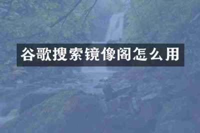 谷歌搜索镜像阁怎么用