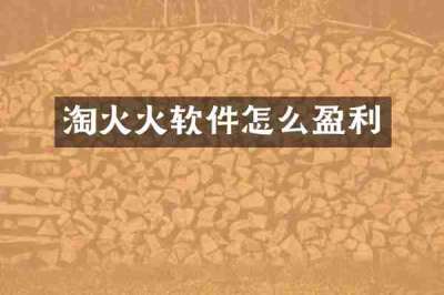 淘火火软件怎么盈利