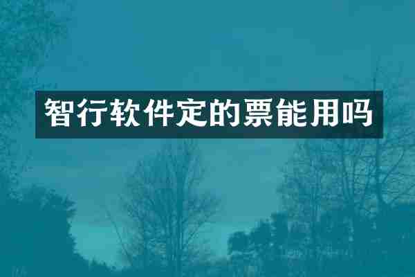 智行软件定的票能用吗