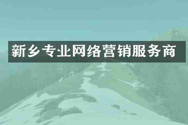 新乡专业网络营销服务商