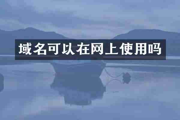 域名可以在网上使用吗
