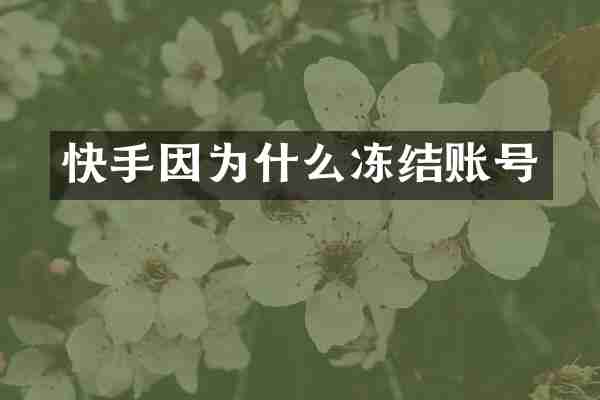 快手因为什么冻结账号