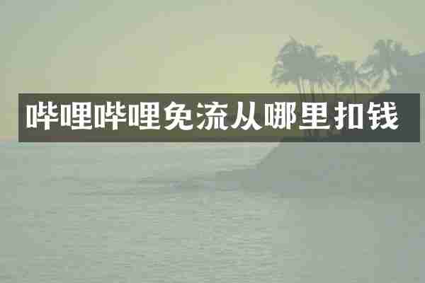 哔哩哔哩免流从哪里扣钱