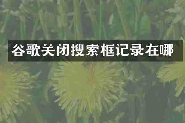 谷歌关闭搜索框记录在哪