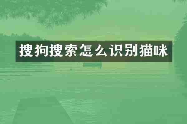 搜狗搜索怎么识别猫咪