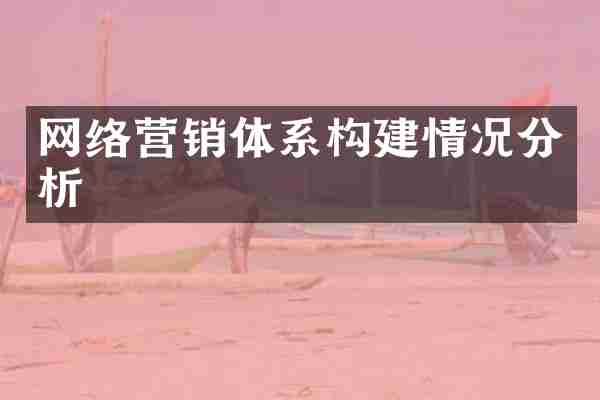网络营销体系构建情况分析
