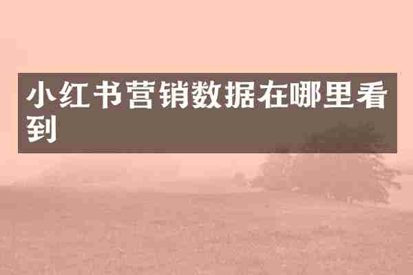 小红书营销数据在哪里看到