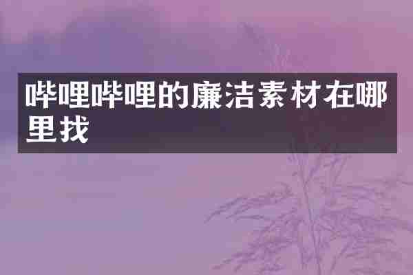哔哩哔哩的廉洁素材在哪里找