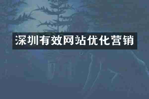 深圳有效网站优化营销