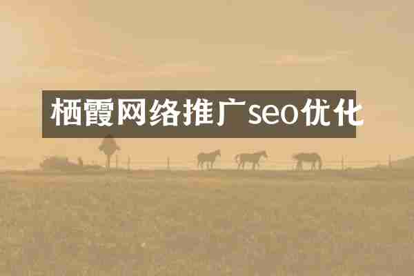 栖霞网络推广seo优化