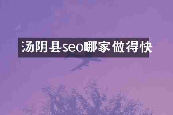 汤阴县seo哪家做得快