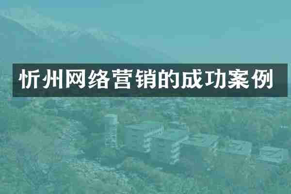 忻州网络营销的成功案例