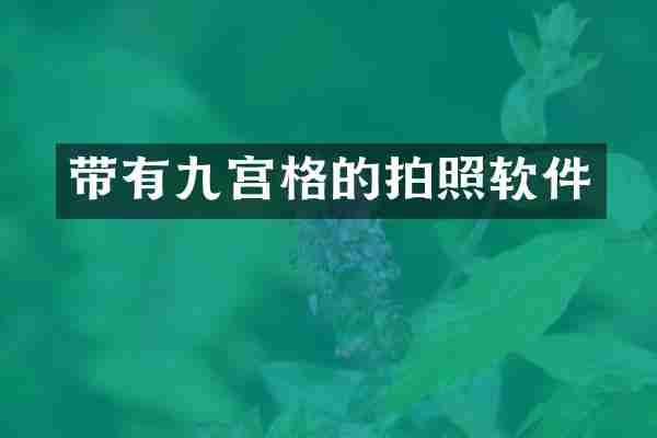 带有九宫格的拍照软件