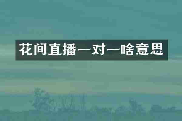 花间直播一对一啥意思
