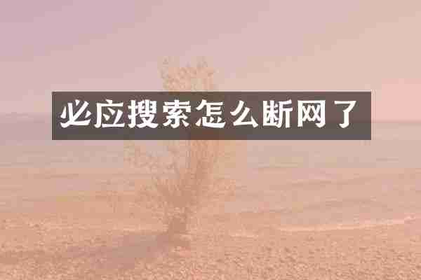 必应搜索怎么断网了