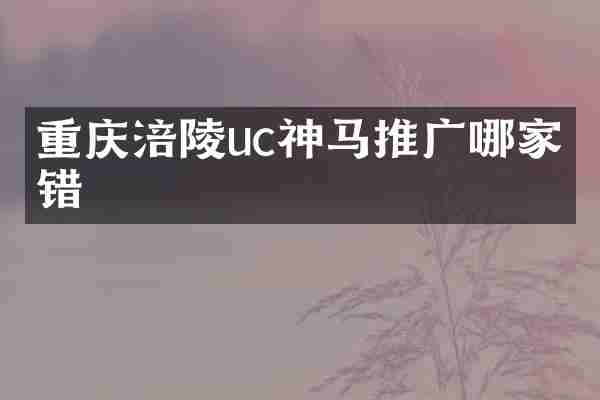 重庆涪陵uc神马推广哪家不错