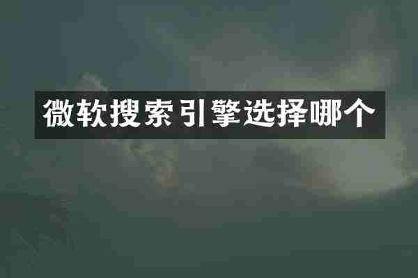 微软搜索引擎选择哪个