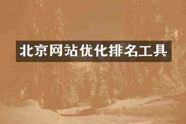 北京网站优化排名工具
