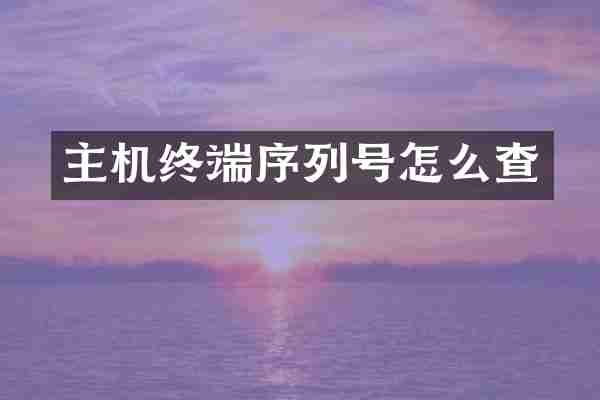 主机终端序列号怎么查
