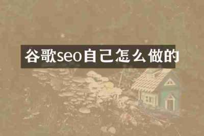 谷歌seo自己怎么做的