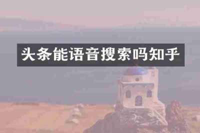 头条能语音搜索吗知乎