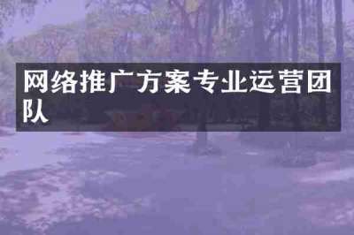 网络推广方案专业运营团队