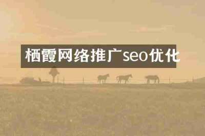 栖霞网络推广seo优化