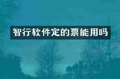智行软件定的票能用吗