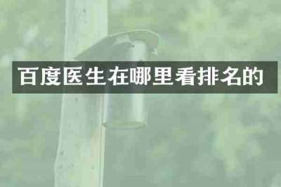 百度医生在哪里看排名的