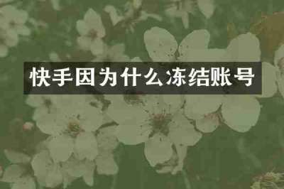 快手因为什么冻结账号