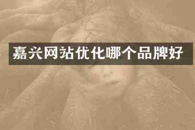 嘉兴网站优化哪个品牌好