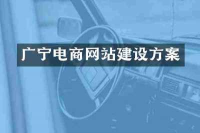 广宁电商网站建设方案
