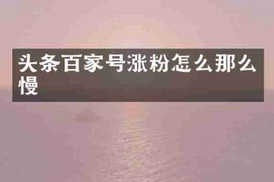 头条百家号涨粉怎么那么慢