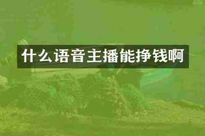 什么语音主播能挣钱啊