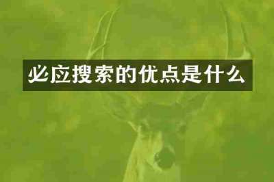 必应搜索的优点是什么