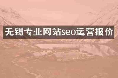 无锡专业网站seo运营报价