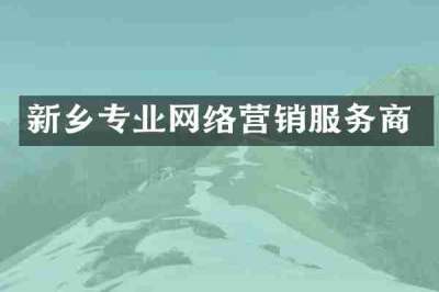 新乡专业网络营销服务商