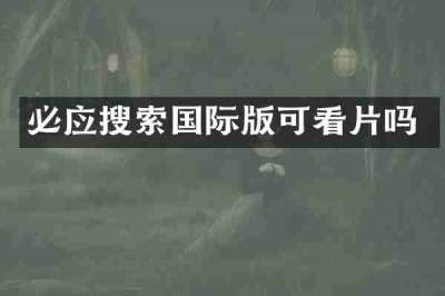 必应搜索国际版可看片吗