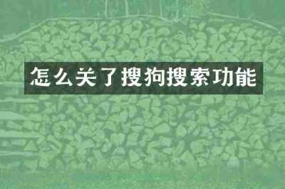 怎么关了搜狗搜索功能