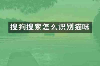 搜狗搜索怎么识别猫咪