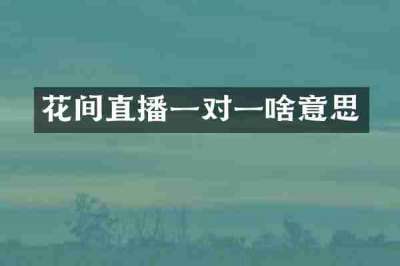 花间直播一对一啥意思
