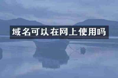 域名可以在网上使用吗