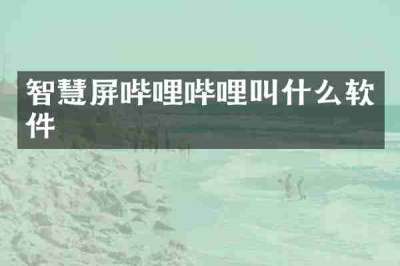 智慧屏哔哩哔哩叫什么软件