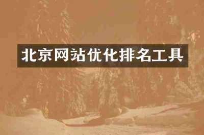 北京网站优化排名工具