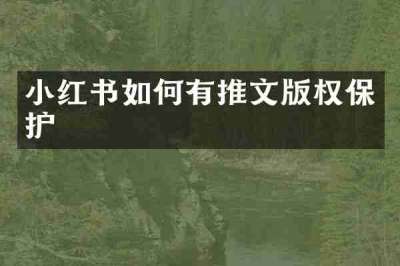 小红书如何有推文版权保护